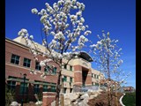 Meridian City Hall