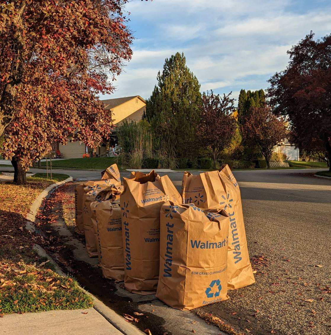 large paper leaf bags full of leaves at the curb