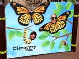 Discovery Park Photo Spot