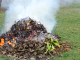 Open Burning